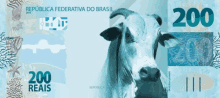 a 200 reais bill with a picture of a cow