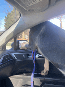 a dog is sitting in the driver 's seat of a car with a leash on