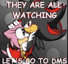 shadow the hedgehog and amy rose from sonic the hedgehog are watching each other .