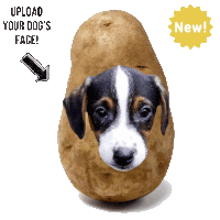 a potato with a dog 's face on it and the words upload your dog 's face next to it