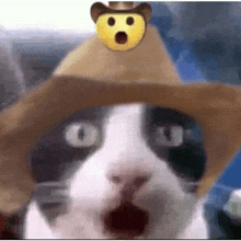 a black and white cat wearing a cowboy hat with a surprised face on top .