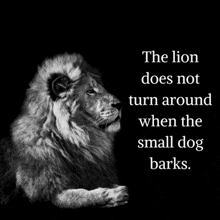 a black and white photo of a lion with a quote about the lion