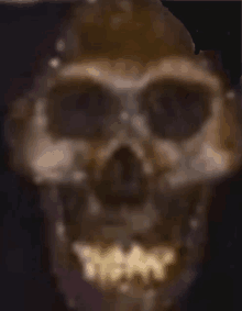 a blurry picture of a skull with a few teeth showing