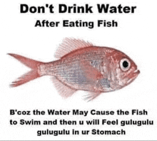 a picture of a fish with the words " don 't drink water after eating fish "