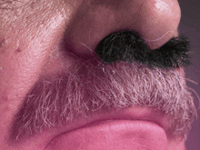 a close up of a man 's nose with a fake mustache