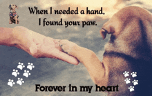 a picture of a dog holding a person 's hand with a caption that says " forever in my heart "