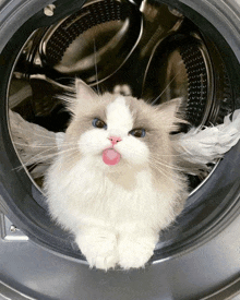 a fluffy cat sticking its tongue out while sitting inside of a washing machine