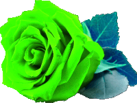 a neon green rose with a blue leaf on a white background