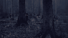 a dark forest with trees and leaves and a person with glowing eyes