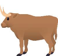 an illustration of a brown bull with long horns