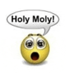 a smiley face with a speech bubble that says holy moly .