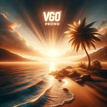 an advertisement for vgo promo shows a palm tree on a beach