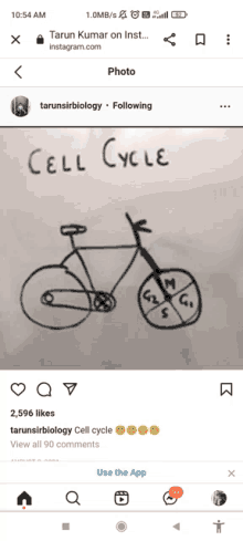 a drawing of a cell cycle on a phone screen