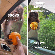 a picture of a monkey holding an orange next to a picture of a monkey holding a gold coin that says $boys community