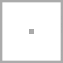 a white square with a gray border and a square in the middle .