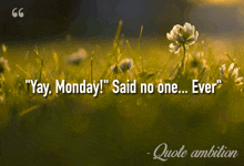 a quote that says " yay monday " on it