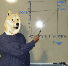 a man wearing a doge mask is pointing at a graph on a white board