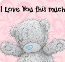 a teddy bear with the words " i love you this much " on a pink background