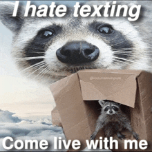 a raccoon in a cardboard box with the words " i hate texting come live with me "