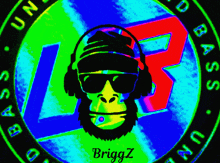 a picture of a monkey wearing headphones and sunglasses with the name briggsz on the bottom