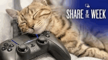 a cat is laying next to a video game controller .