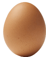 a brown egg on a white background with a few small spots