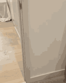 a close up of a door in a bathroom with a wooden floor .