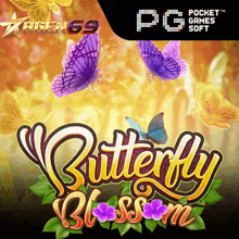 a game called butterfly blossom is being played by pg games soft