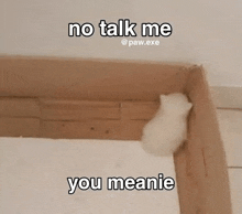 a white kitten is sitting in a cardboard box and says `` no talk me you meanie '' .