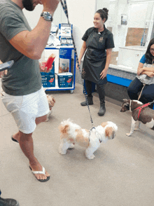 a woman wearing a black apron with the letter e on it is standing next to a man and two dogs