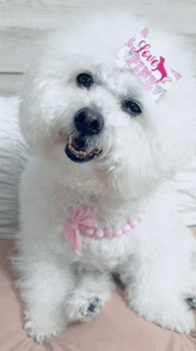 a small white dog wearing a pink necklace and a hat that says " love daddy "