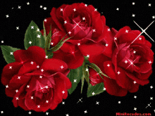 a bunch of red roses on a black background with minirecados.com