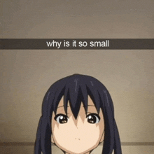 a picture of a anime girl with a caption that says why is it so small .