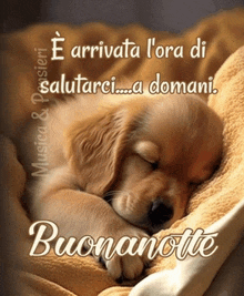 a picture of a puppy sleeping on a blanket with the words buonanotte written below it