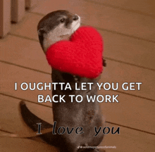 an otter holding a red heart with the words i oughtta let you get back to work below it