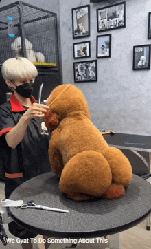 a teddy bear is being groomed by a woman with a mask on