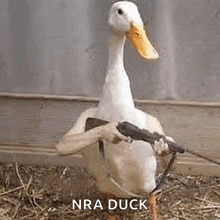 a white duck is holding a gun in its paws in a cage .