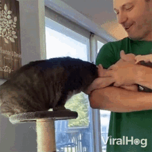 a man in a green shirt is petting a cat on a cat tree in front of a sign that says shannon & daniels