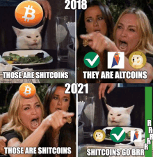 a meme showing a cat pointing at a plate of food with the words those are shitcoins