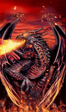 a black dragon with flames coming out of its mouth on a red background