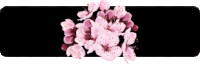 pink flowers on a black background with a black border