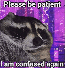 a raccoon with the words please be patient i am confused again below it