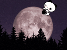 a panda bear is flying over a full moon in the night sky