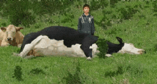 a boy is standing next to a large black and white cow laying down in a grassy field .