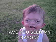 a baby with lipstick on his face is sitting in the grass and asking , `` have you seen my crayon ? ''