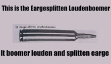 a picture of a 22 eargesplitten loudenboomer bullet