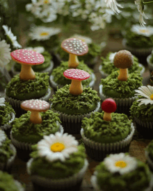 a bunch of green frosted cupcakes with mushrooms and daisies on top