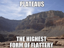 a mountain with the words plateaus the highest form of flattery on it