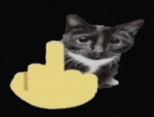 a black and white cat is sitting next to a yellow middle finger on a black background .