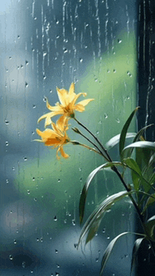 a yellow flower is standing in front of a window covered in rain drops